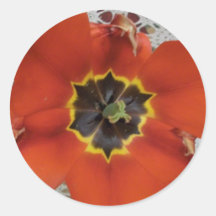 Big Love Round Stickers