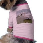 Big Male Swan Bird In Lake Doggie T-shirt