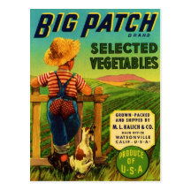 Big Patch Postcards