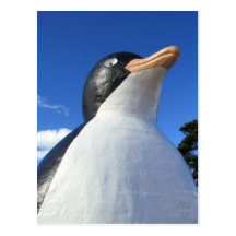 big penguin post card