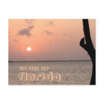 Big Pine Key Florida Postcard