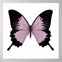 Big Pink & Black Butterfly - Personalize