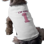 Big Pink Number One, Girl's First Birthday pet clothing