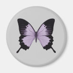 Big Purple & Black Butterfly Magnet