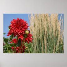 Big Red Poster