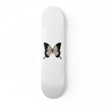 Big Sepia Orange & Black Butterfly