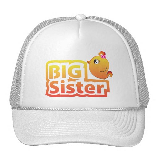 Big sister cute baby chicken bird hat