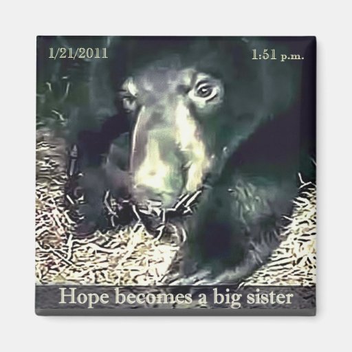 Big Sister Hope Magnet