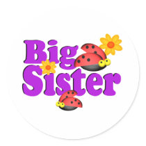 Big Sister Ladybug Stickers