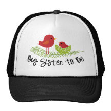 big sister to be christmas birdies hat