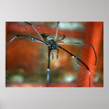 Big Spider Posters