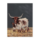 Big Spot & Little Spot Post Cards