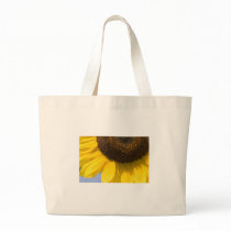 big sun bags