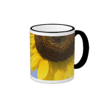 big sun mug