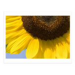 big sun post cards