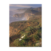 Big Sur Coast California Postcard