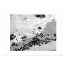 Big Sur Postcard