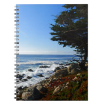Big Sur Spiral Note Books