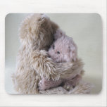 big teddy bear holds little bear mousepad