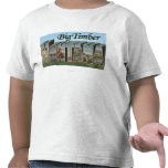 Big Timber, Montana - Large Letter Scenes Tshirt