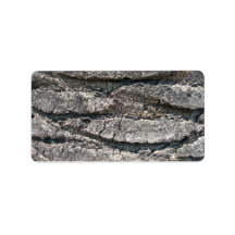 Big tree bark custom address labels
