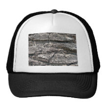Big tree bark texture mesh hat