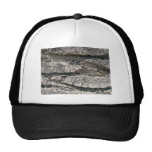 Big tree bark trucker hat