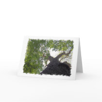 Big Tree Greeting Card