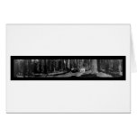 Big Tree Grove Mariposa Photo 1906 Greeting Cards