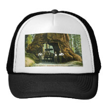 Big Tree Wawona, Mariposa Grove, CA Vintage Trucker Hats