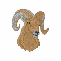 Bighorn Sheep