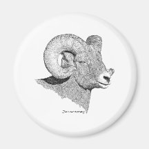 Bighorn Sheep Fridge Magnets