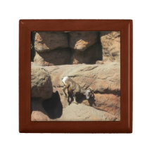 Bighorn Sheep Jewelry Box