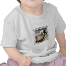 Bighorn Sheep Tshirts