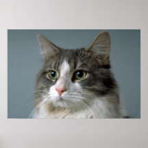 Bijou 1 posters
