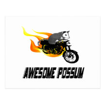 Bike Rider Awesome Possum Post Cards