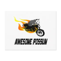 Bike Rider Awesome Possum Post Cards