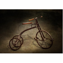 Bike - The Tricycle Photo Sculpture