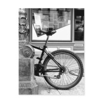 Bike Wheel Postcard