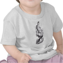 Bill the Lizard t-shirts