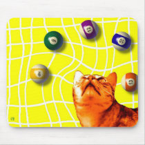 Billiards Cat