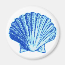 Bimini Blue Sea Shell Magnet