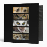 Binder - Animals Eyes
