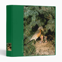 Binder / Robin With Chicks
