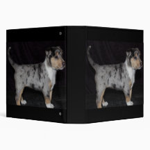 Binder with smooth blue collie pup