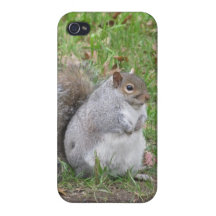 Binge Squirrel iPhone 4/4S Cases