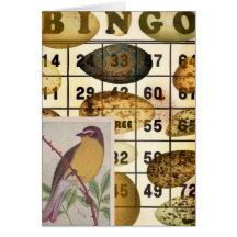 Bingo Bird Greeting Cards