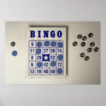 Bingo the gambling game posters