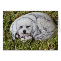 "Binky" dog rock card