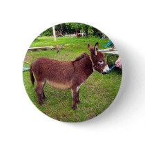 Binky The Mini Donkey Button
